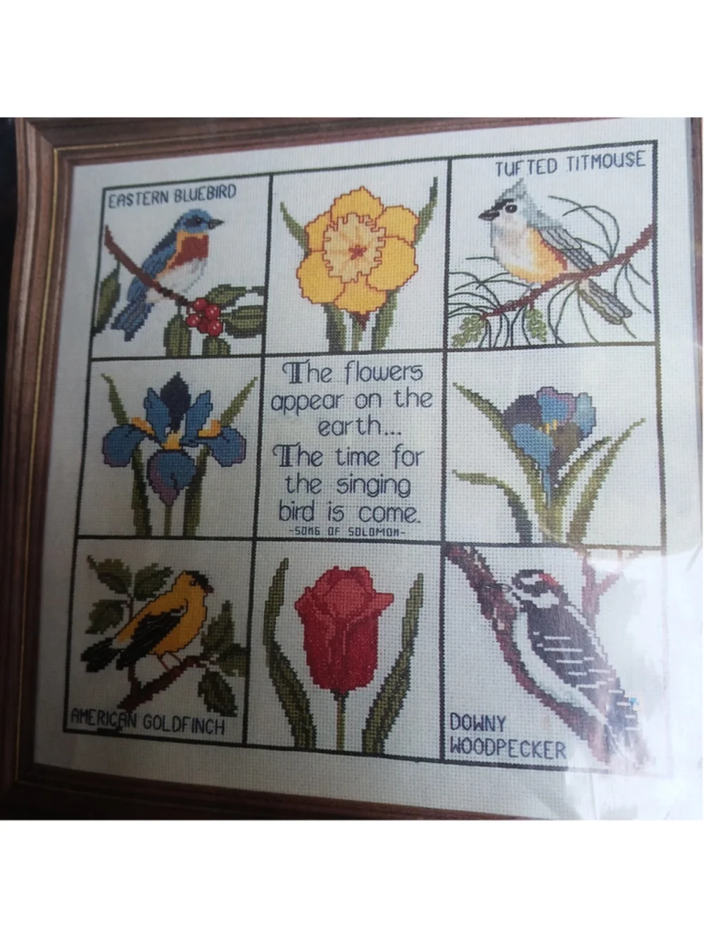 Vtg Counted Cross Stitch Kit Janlynn Song Of Solomon Charmin Flowers Birds 1985